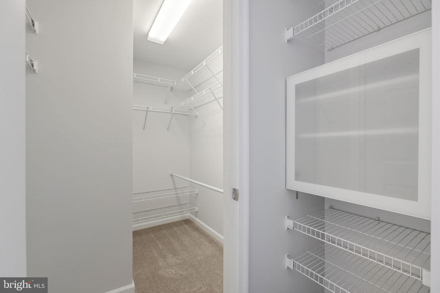 2919 Gilder Way #81 photo 18
