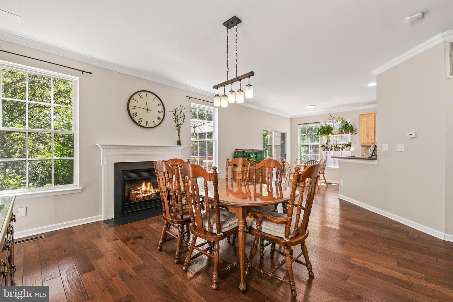 8645 Webster Tavern Way photo 14