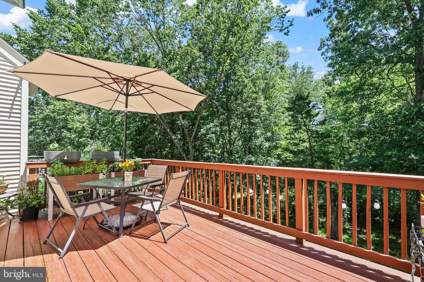 8645 Webster Tavern Way photo 29