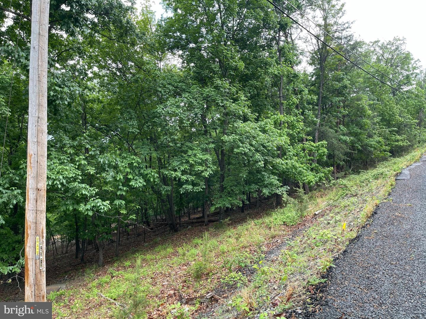 16207 Sumney Drive photo 6