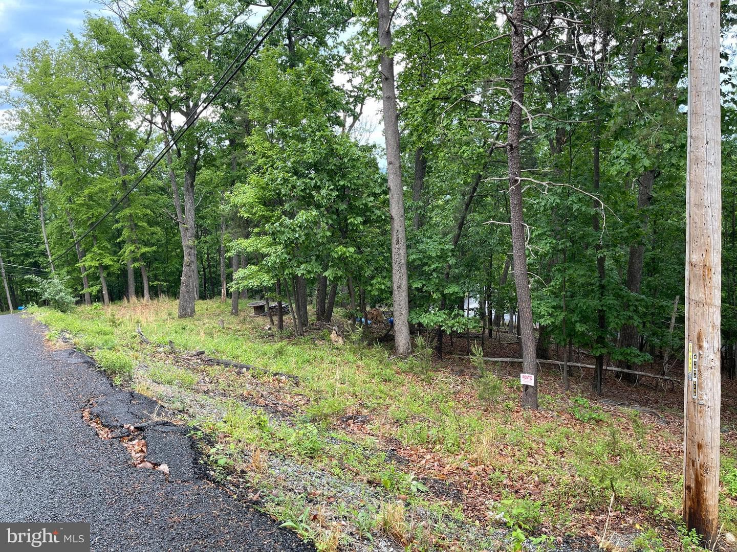 16207 Sumney Drive photo 8