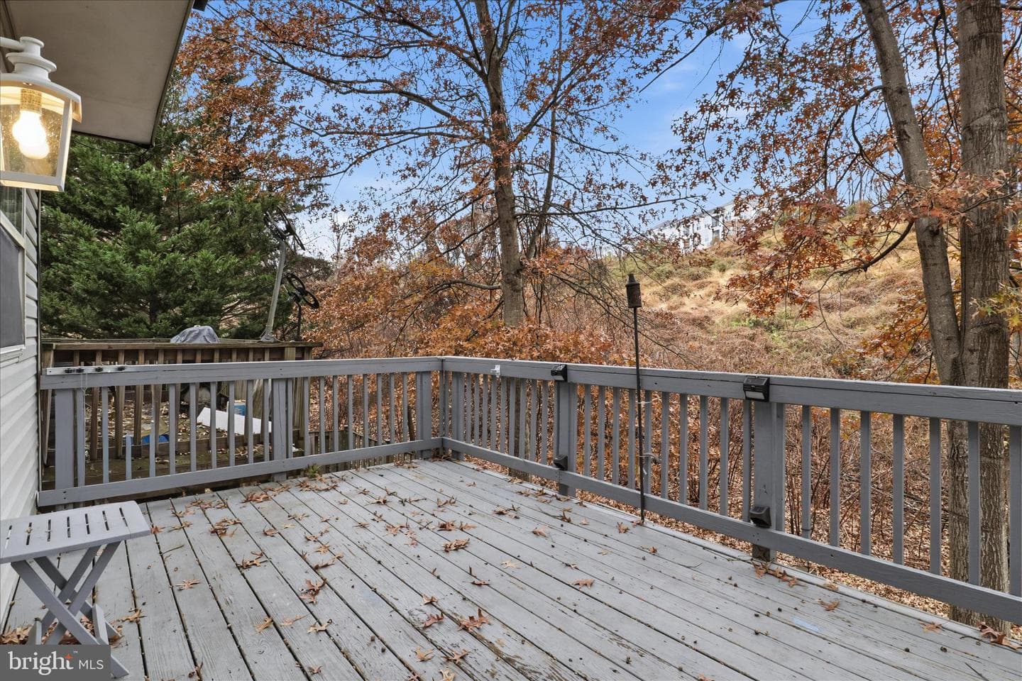 2038 Stargrass Court photo 14