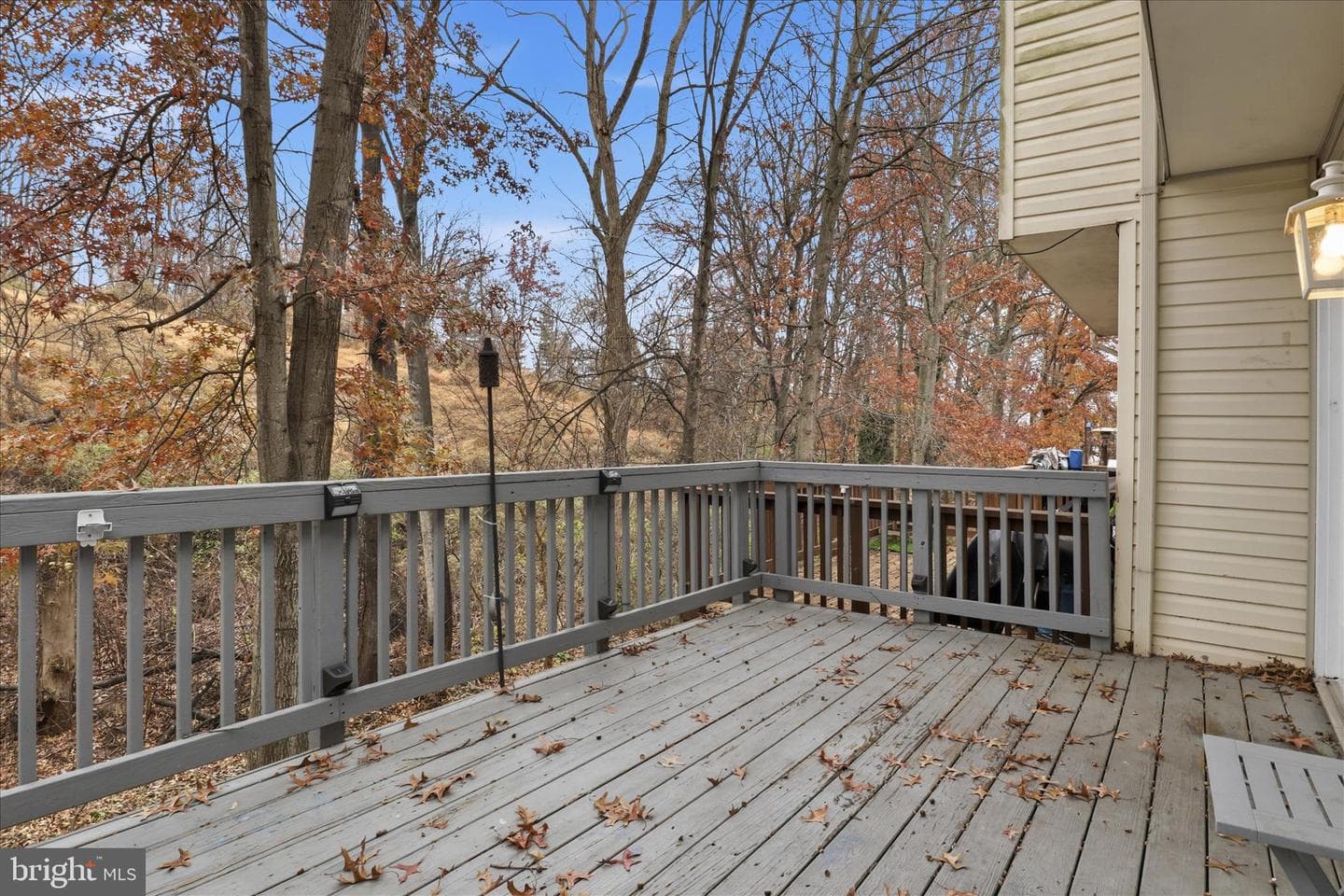 2038 Stargrass Court photo 15