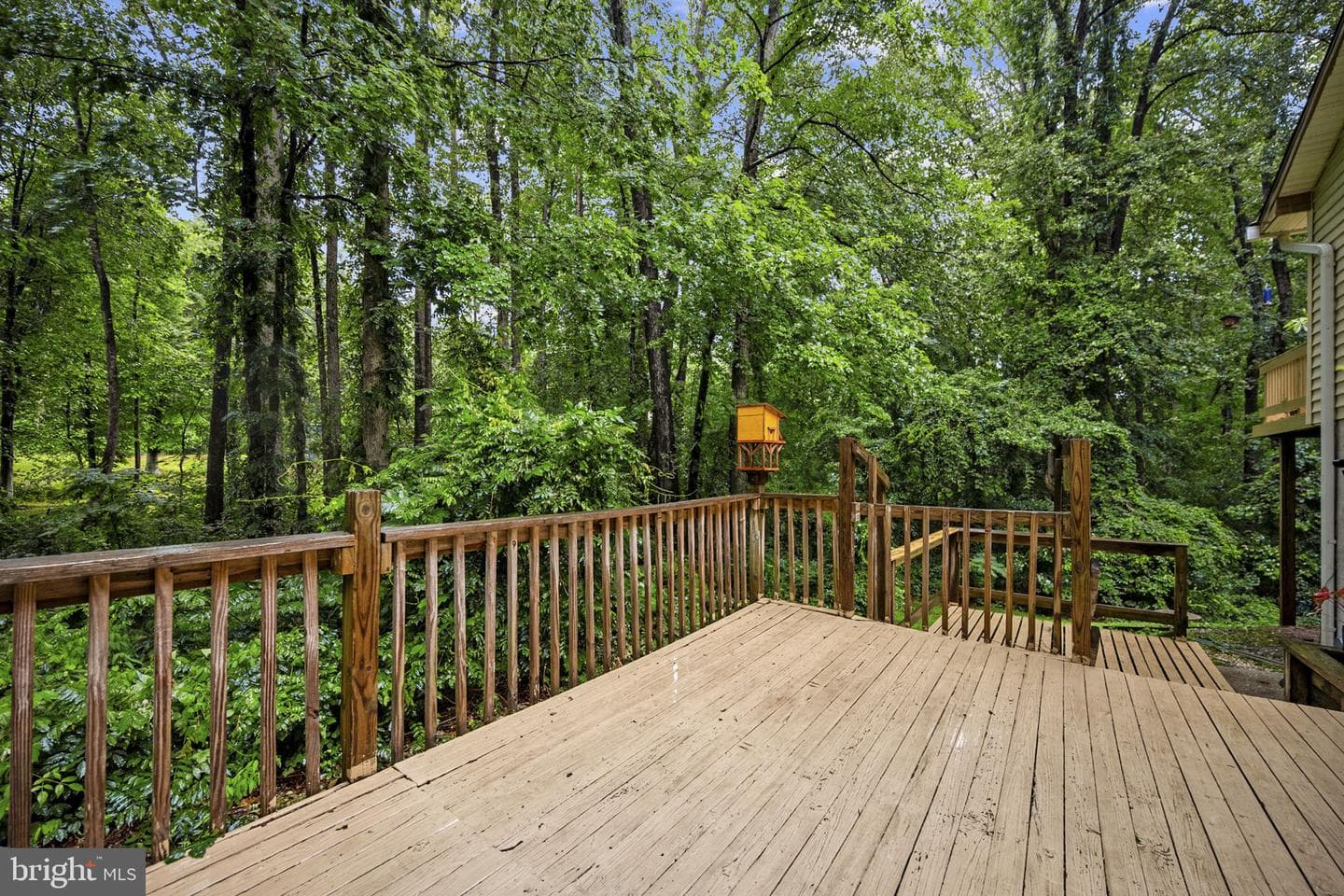 11039 Timberview Drive photo 53