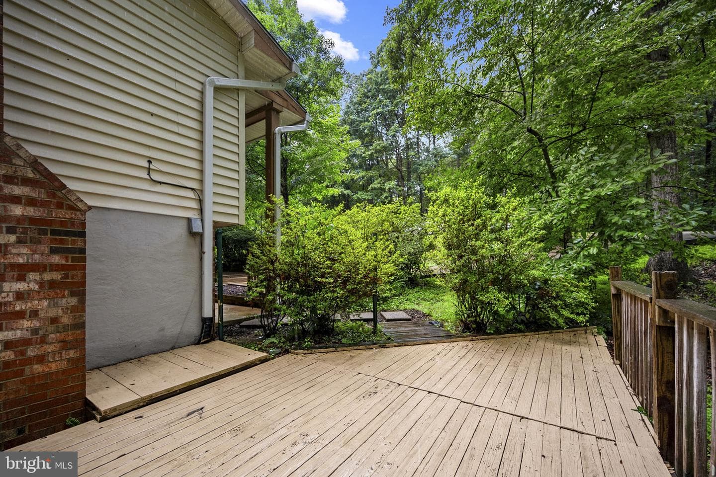 11039 Timberview Drive photo 54