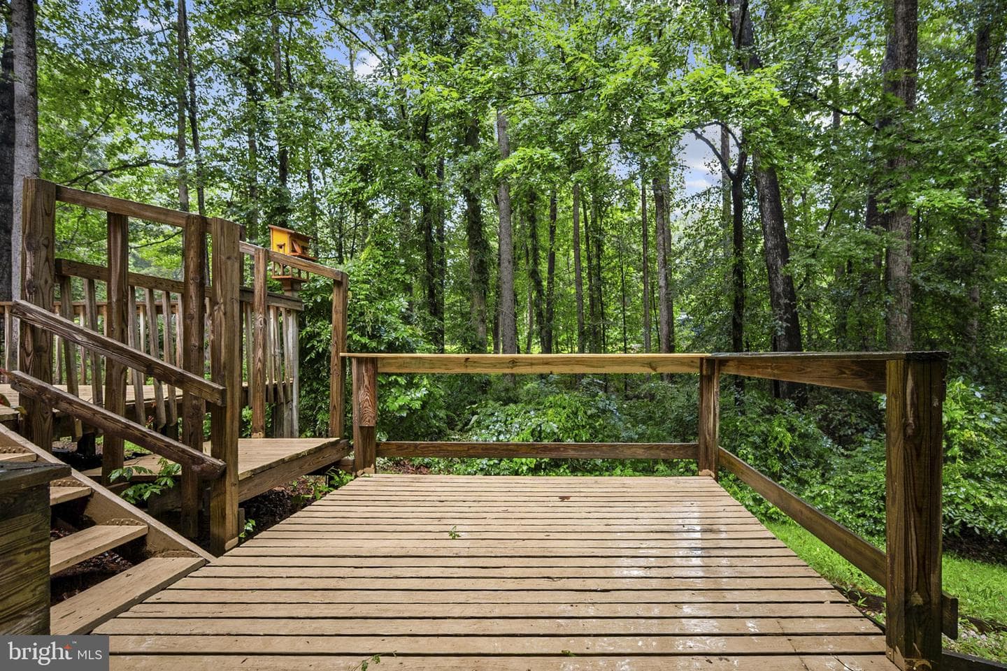 11039 Timberview Drive photo 55