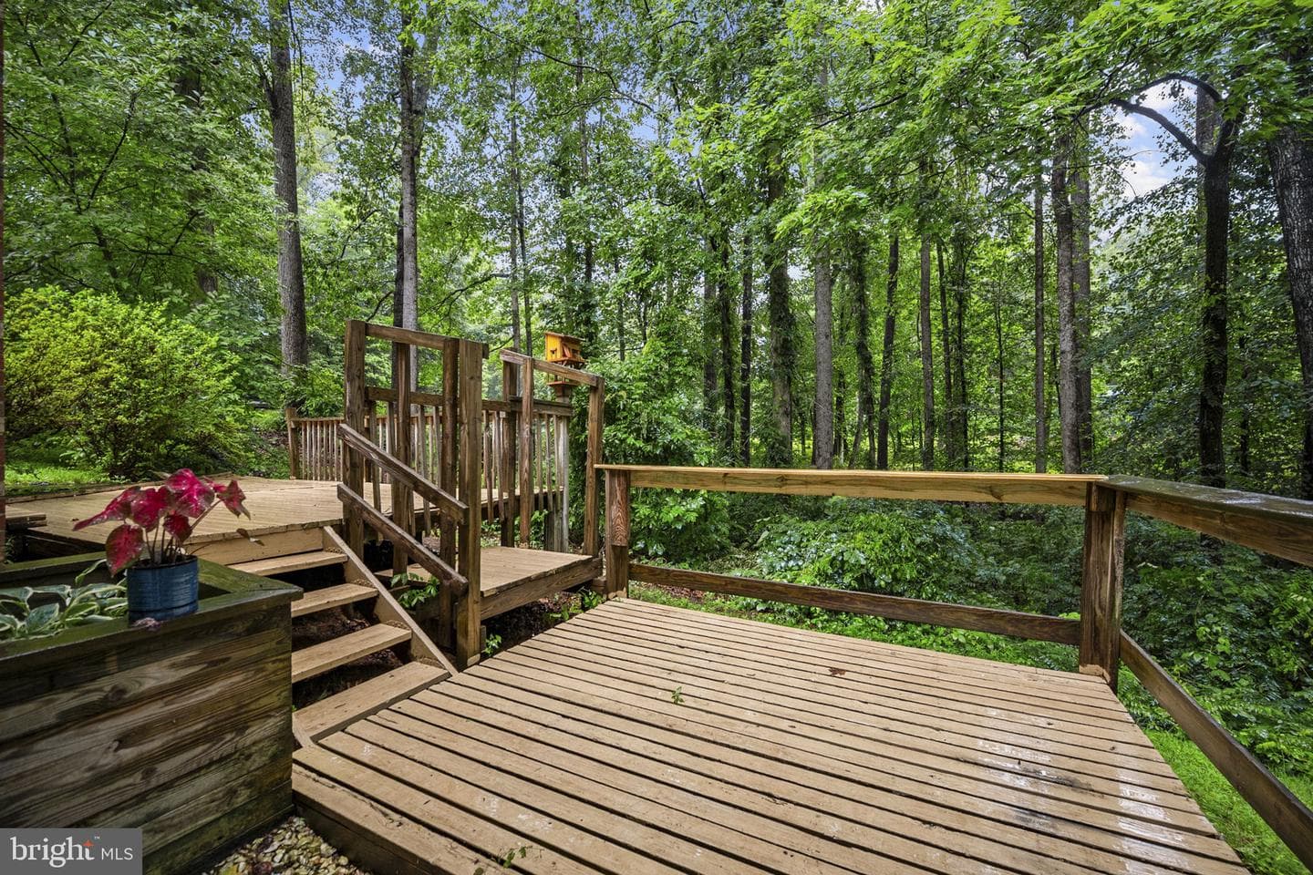 11039 Timberview Drive photo 56