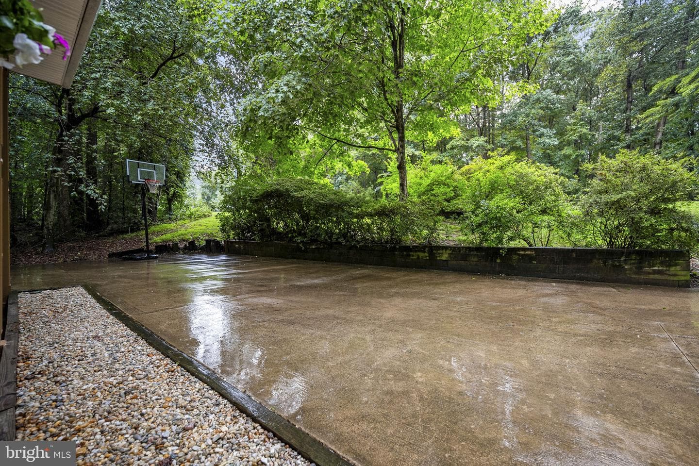 11039 Timberview Drive photo 60