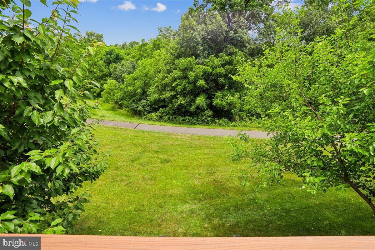15042 Danehurst Circle photo 18