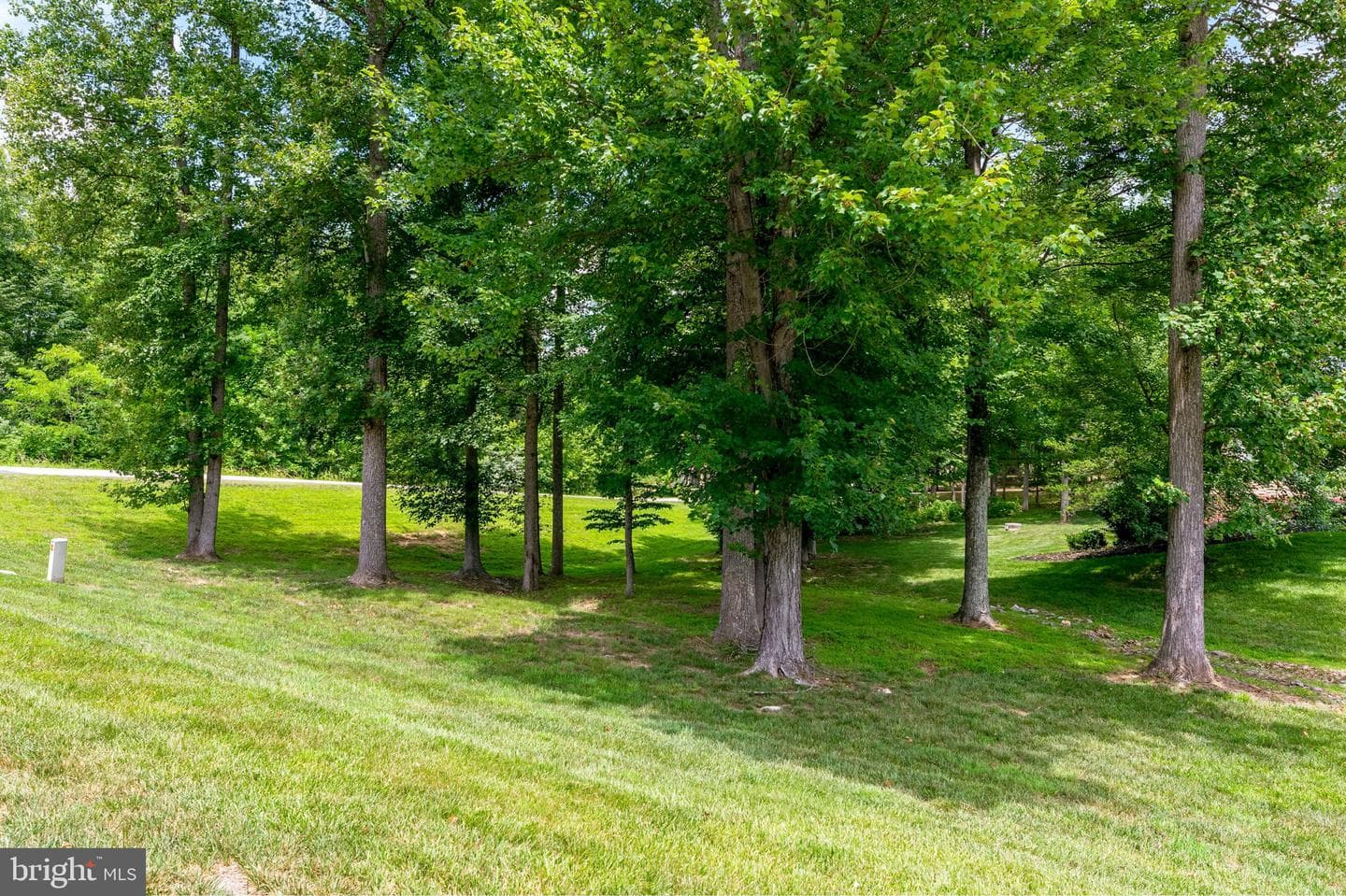 5200 Trunnion Trail photo 81