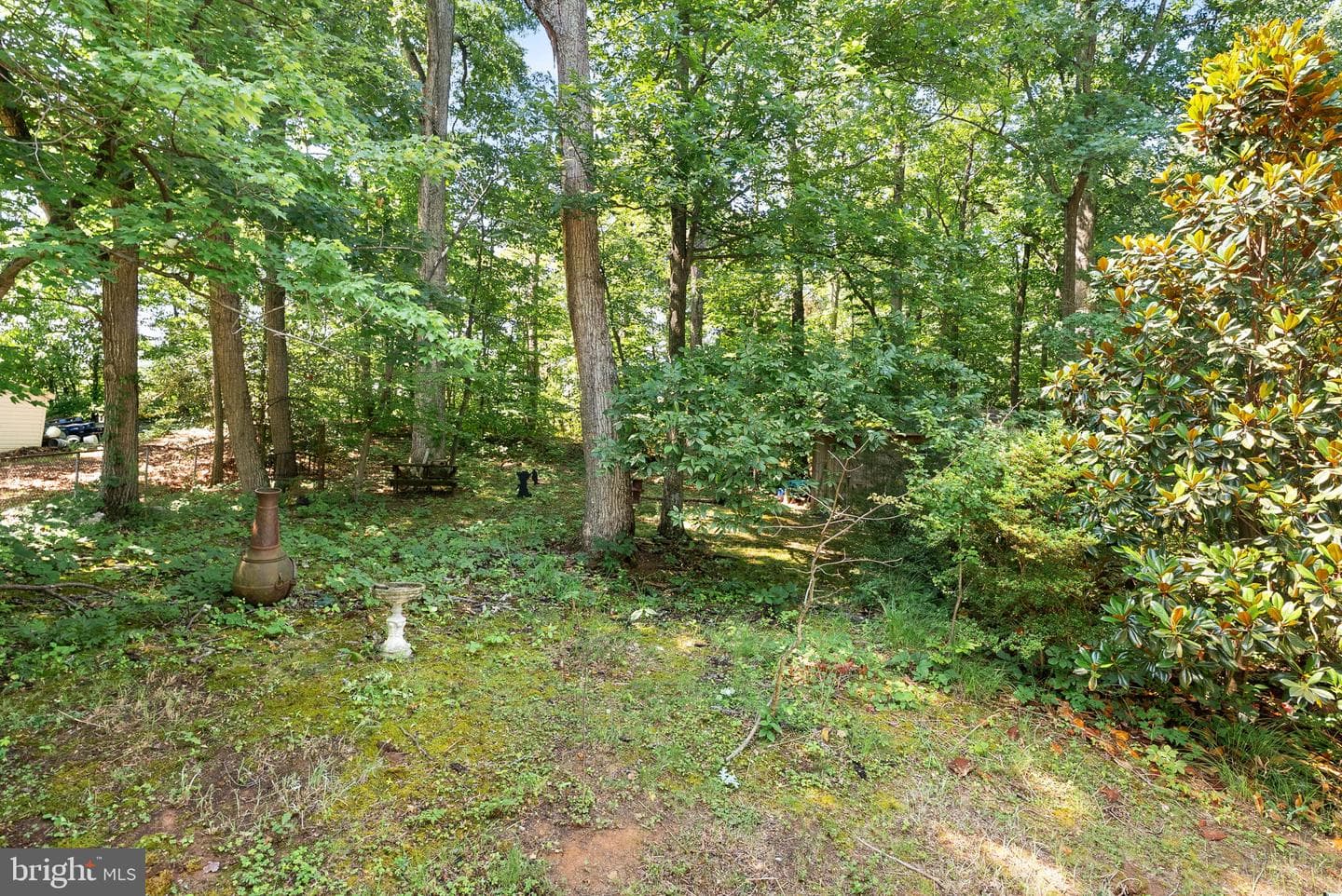 14608 Tazewell Court photo 49