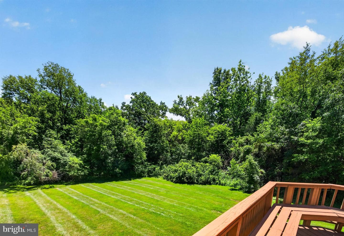 6853 Hollow Glen Court photo 8