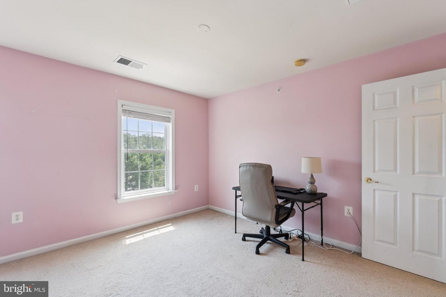 2807 Chinkapin Oak Lane photo 22
