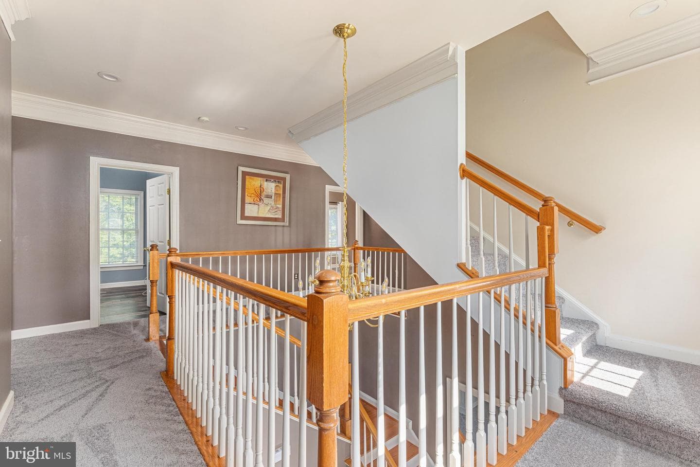 10012 Three Sisters Court photo 49