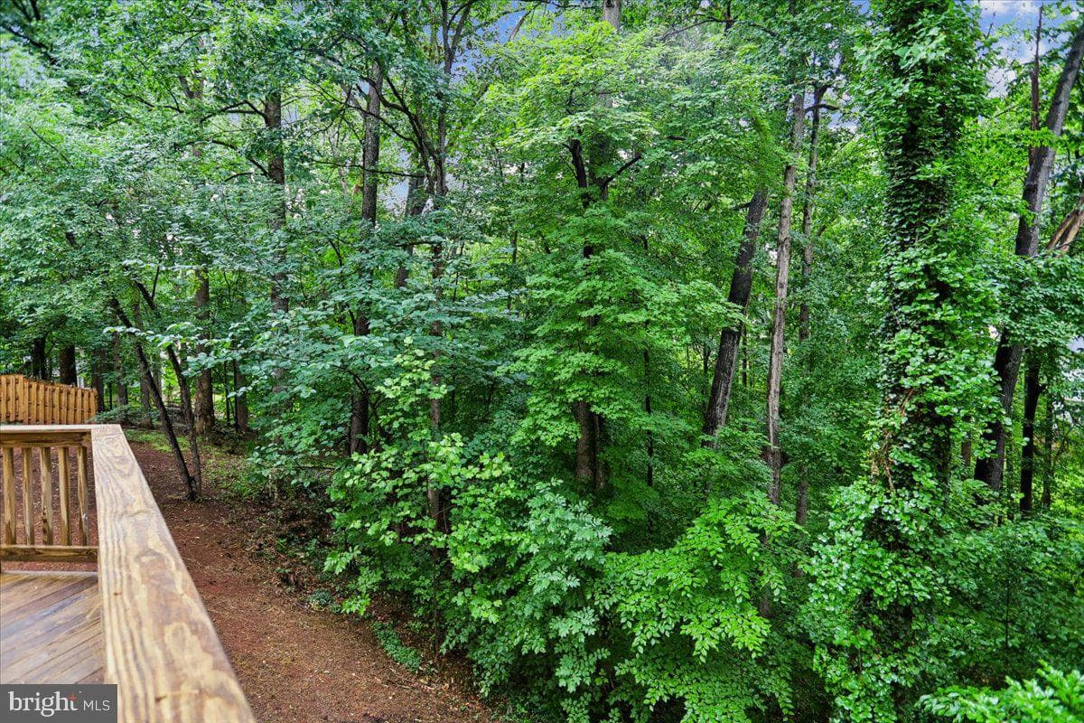 15427 Skyline Drive photo 10