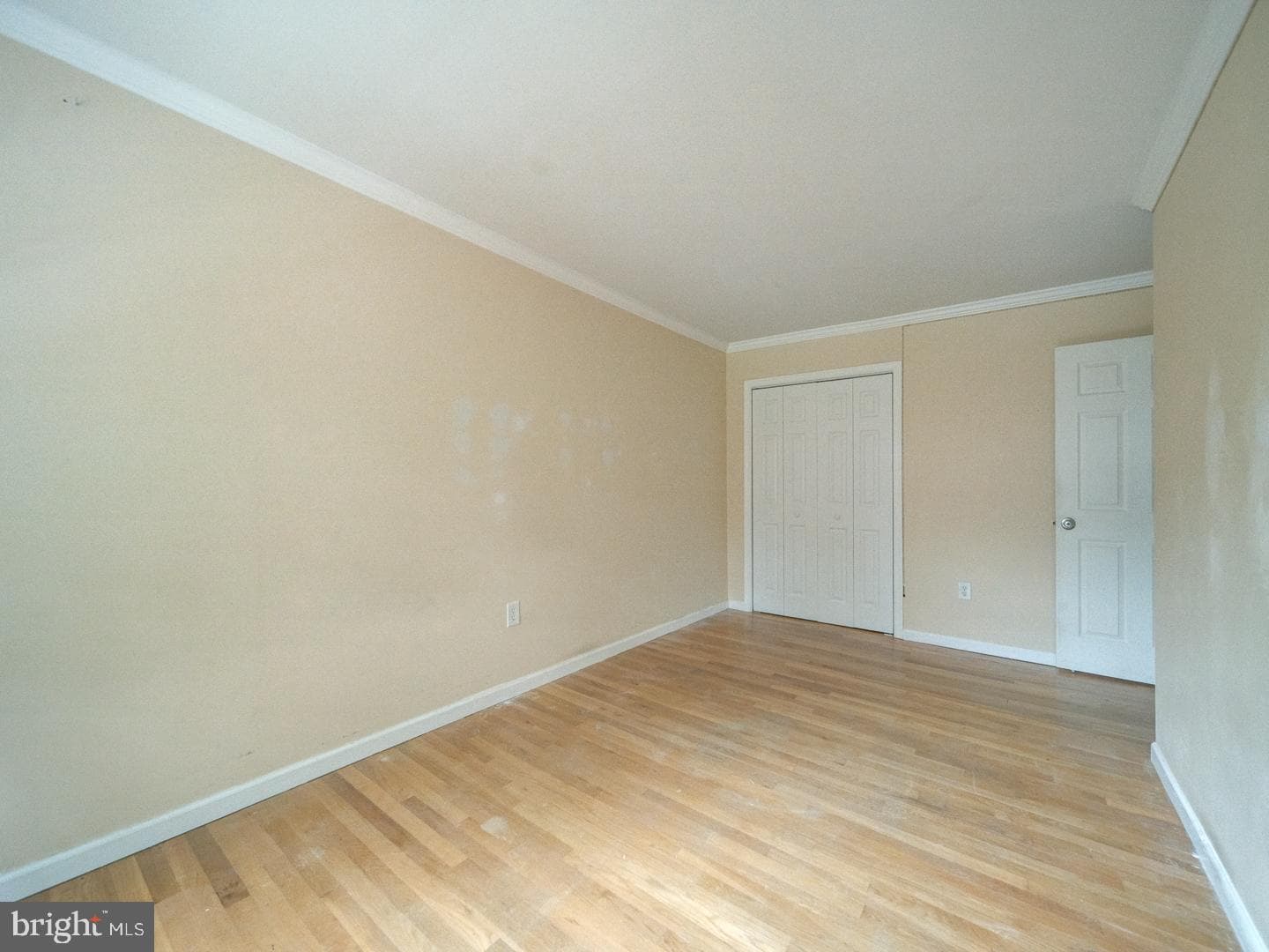 3429 Braddock Drive photo 40