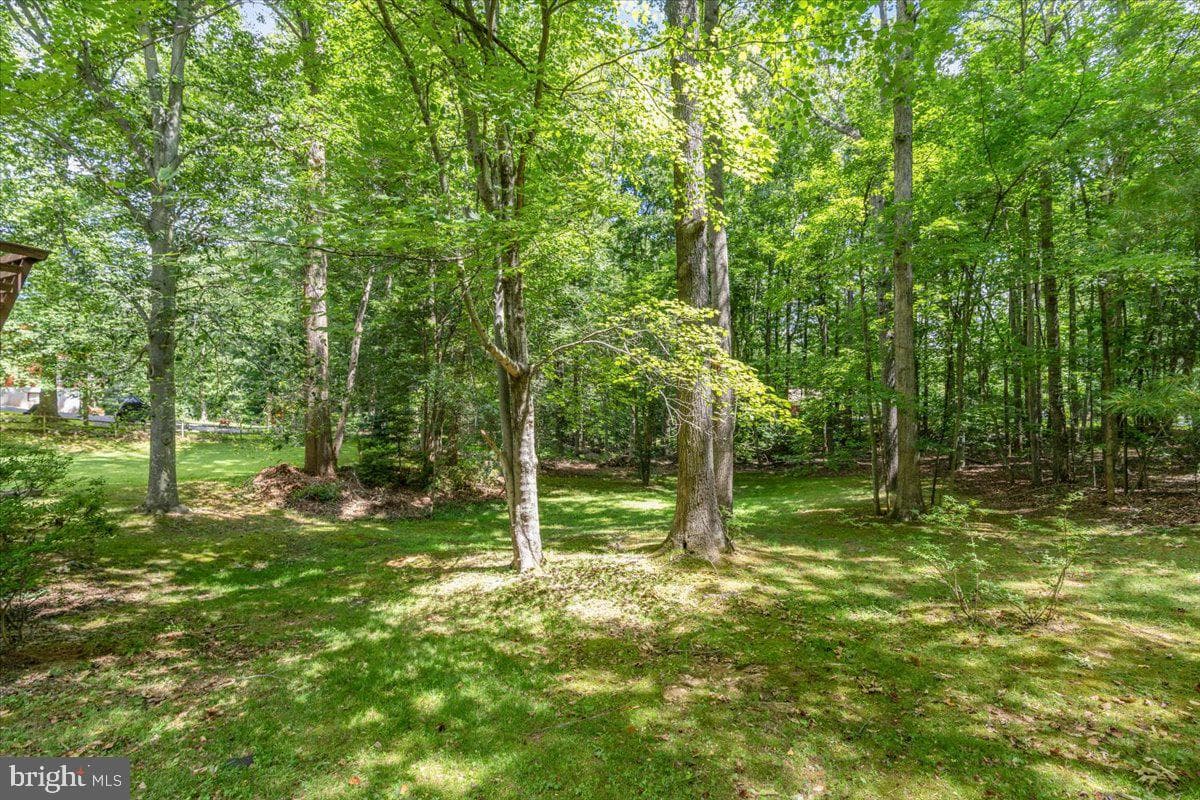 12212 Woodlark Court photo 58