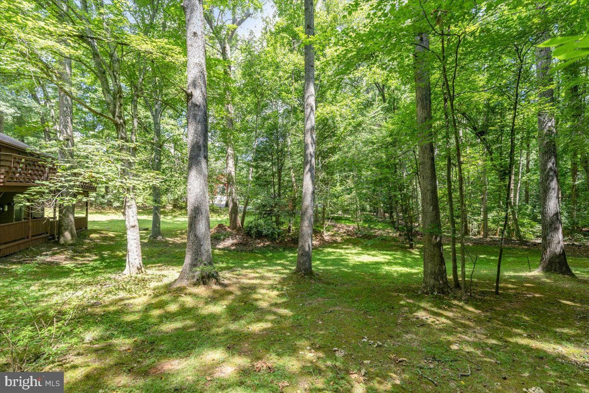12212 Woodlark Court photo 59