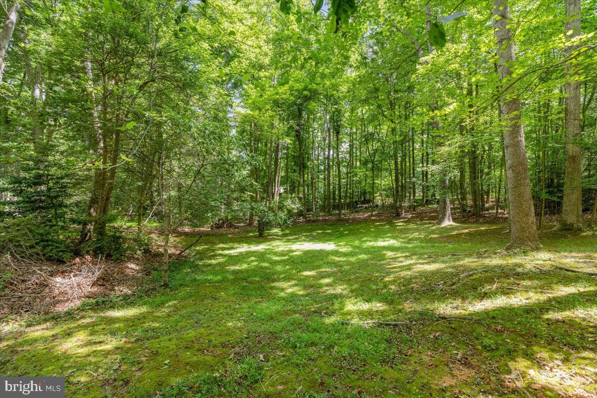 12212 Woodlark Court photo 64