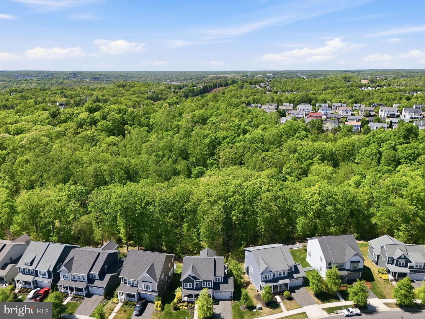 17942 Woods View Drive, Dumfries