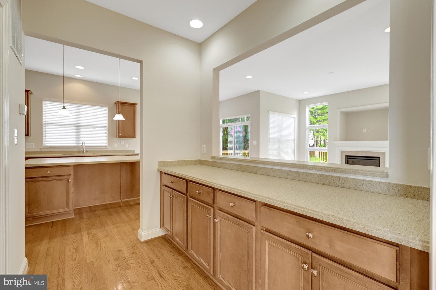 9295 Falling Water Drive photo 13