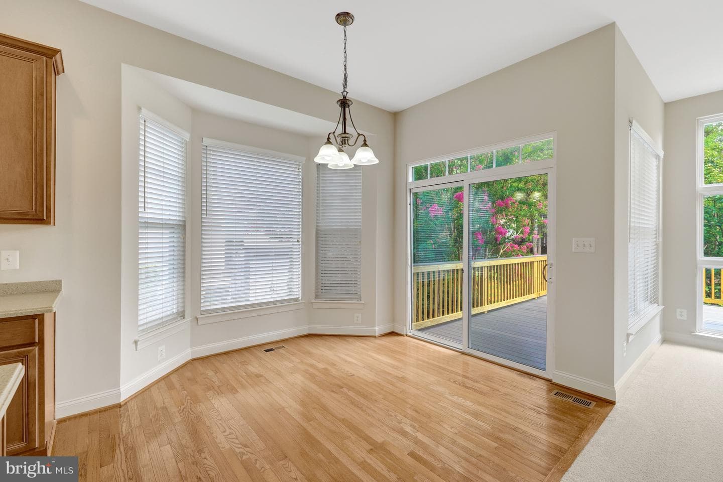 9295 Falling Water Drive photo 18