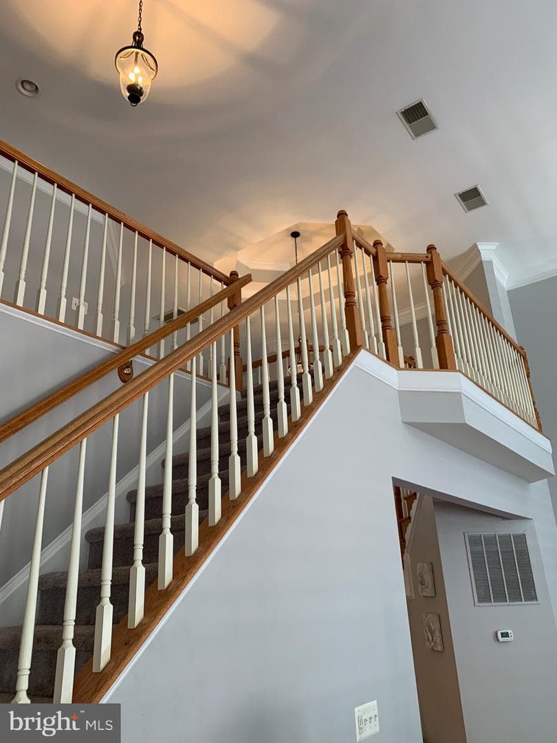 14093 Burnley Glen Court photo 13