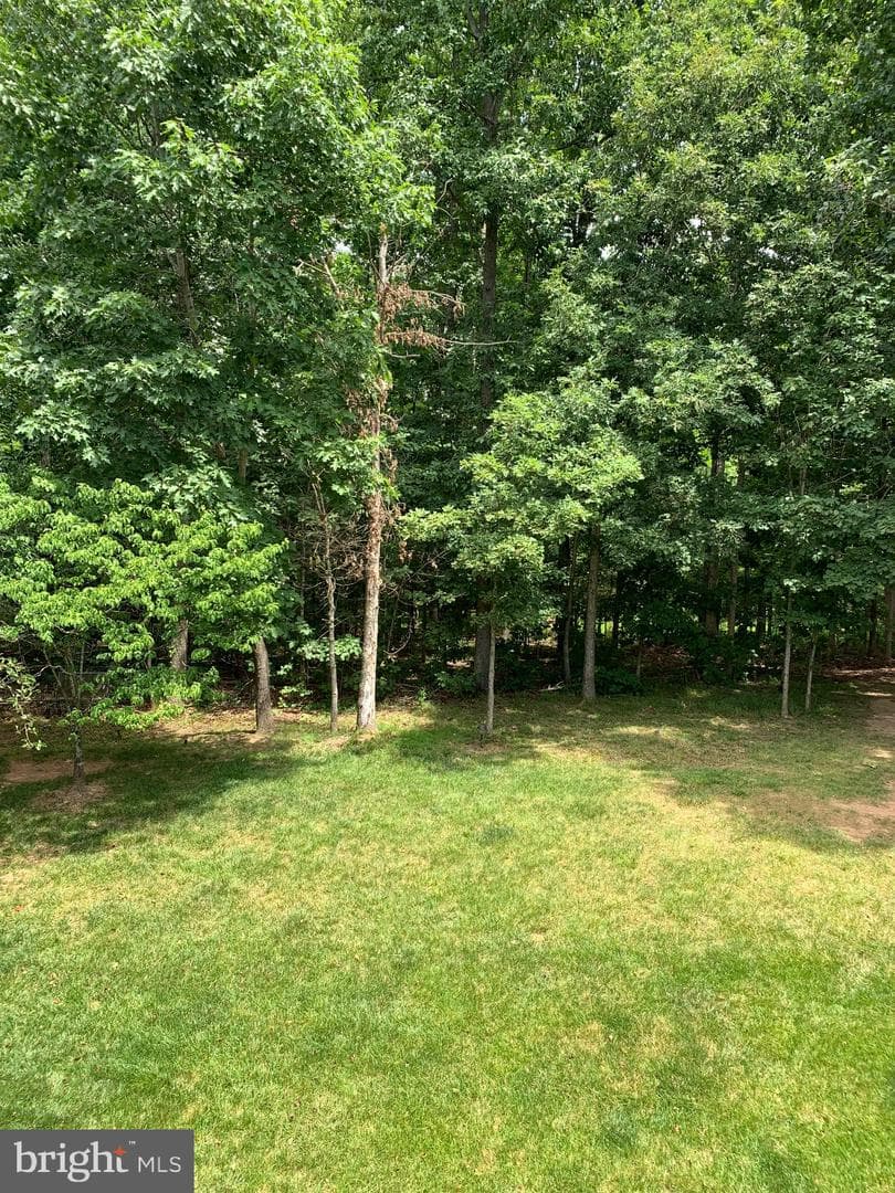 14093 Burnley Glen Court photo 25