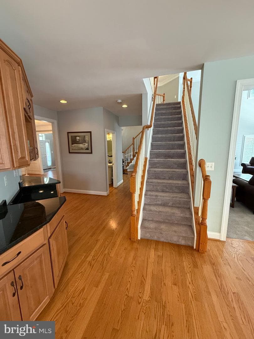14093 Burnley Glen Court photo 9