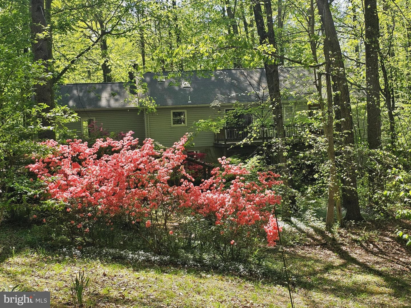 13437 Bristow Road photo 53