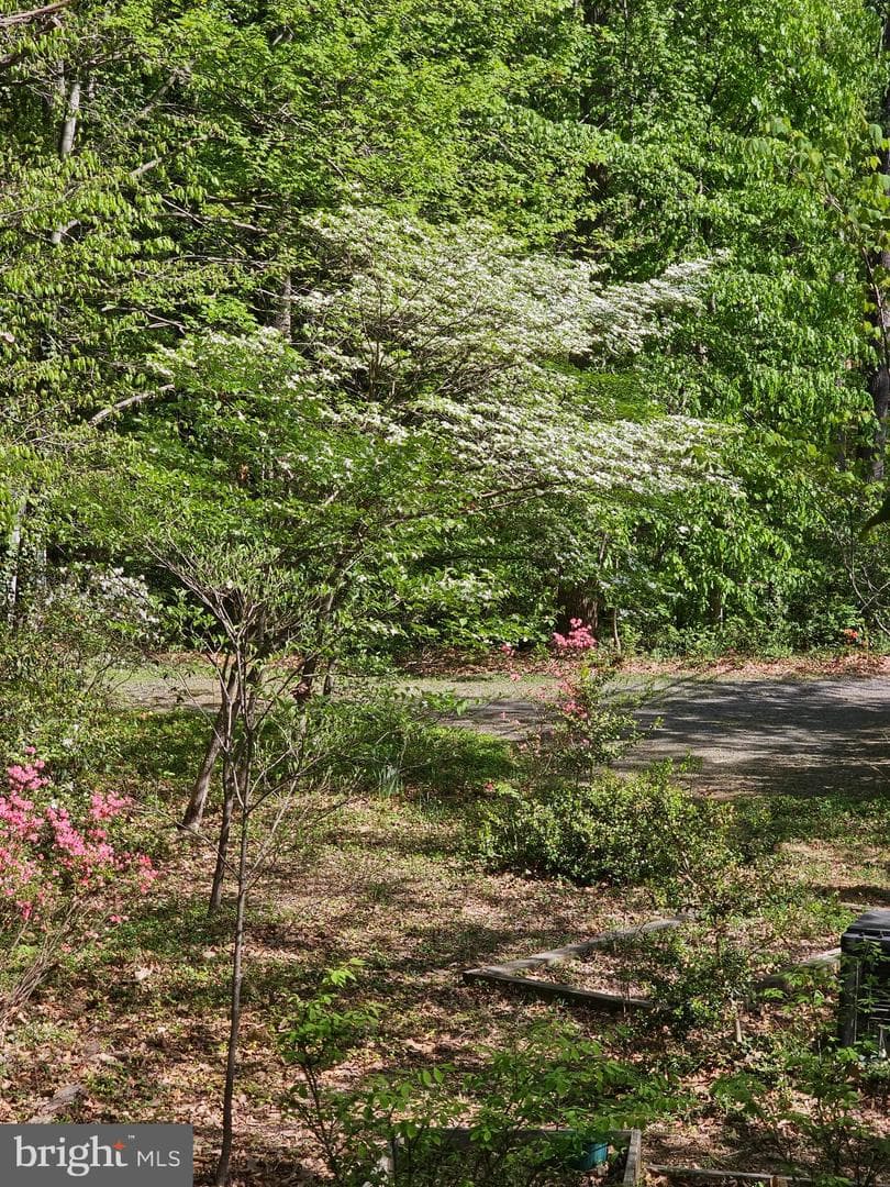 13437 Bristow Road photo 59