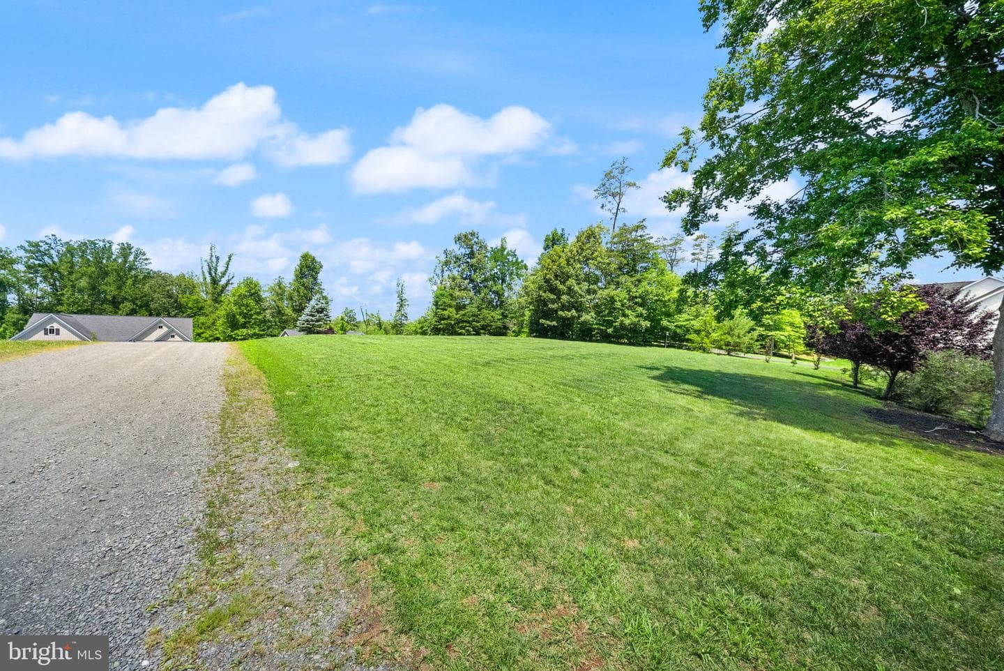11677 Kahns Road photo 6