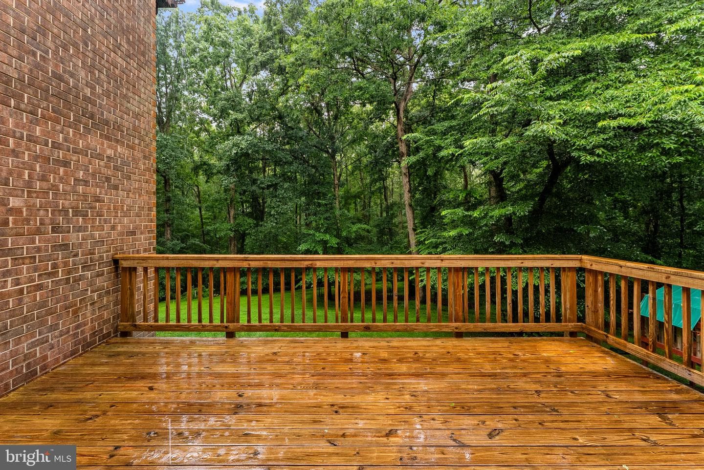 2597 Tree House Drive photo 57