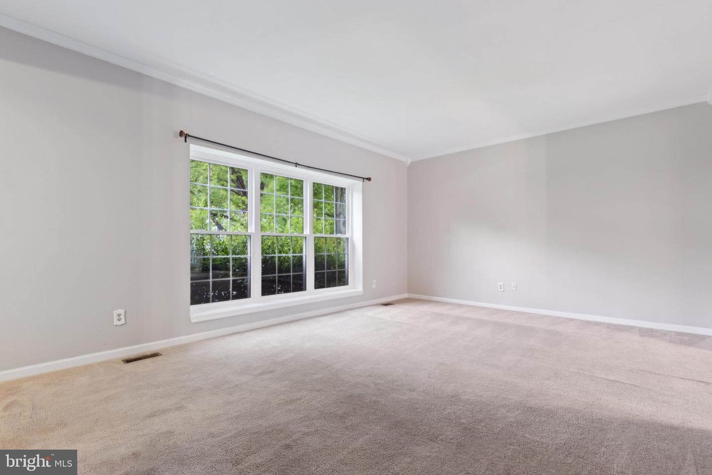 2802 Noble Fir Court photo 5
