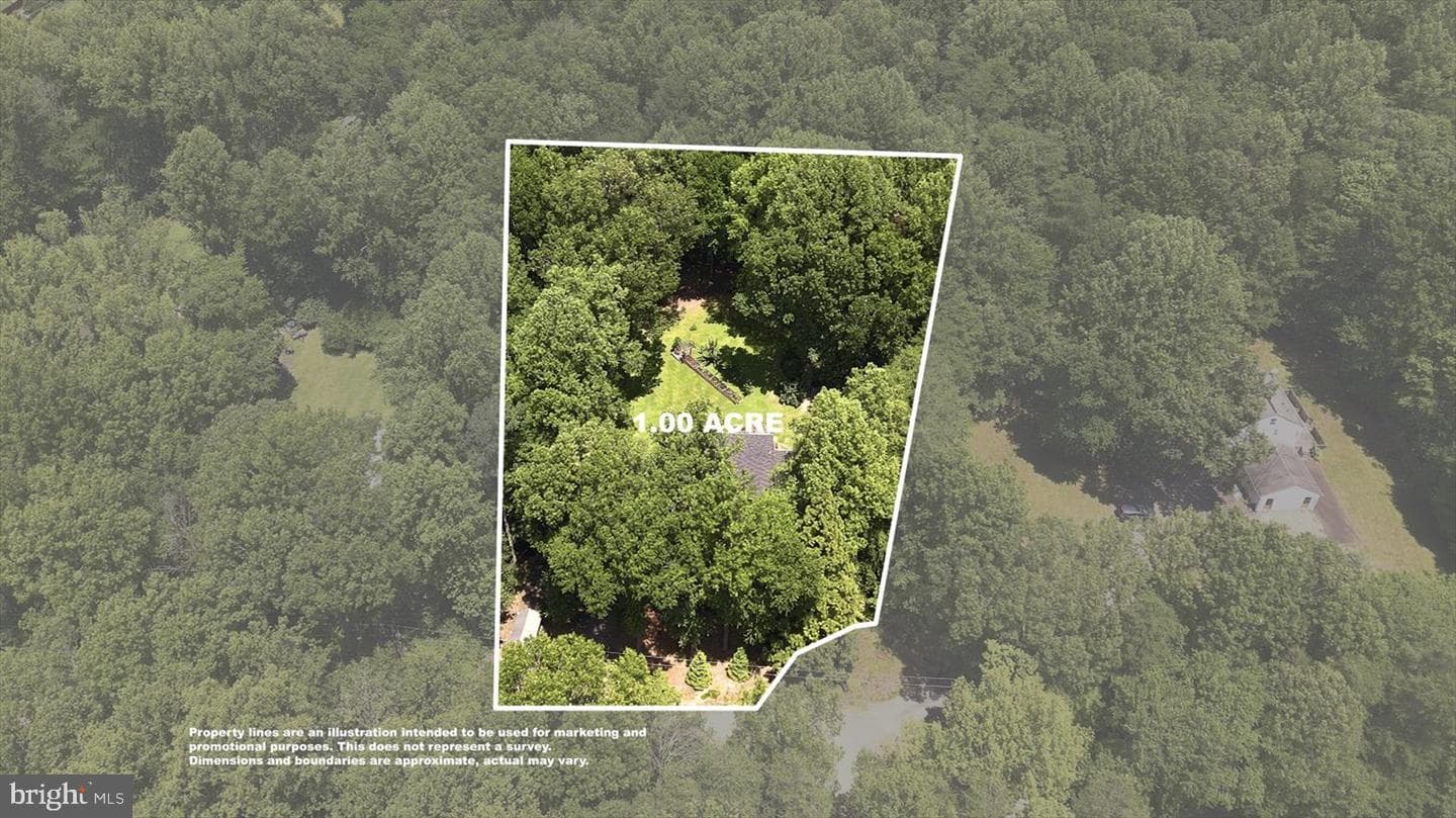 7366 Chardon Court photo 41