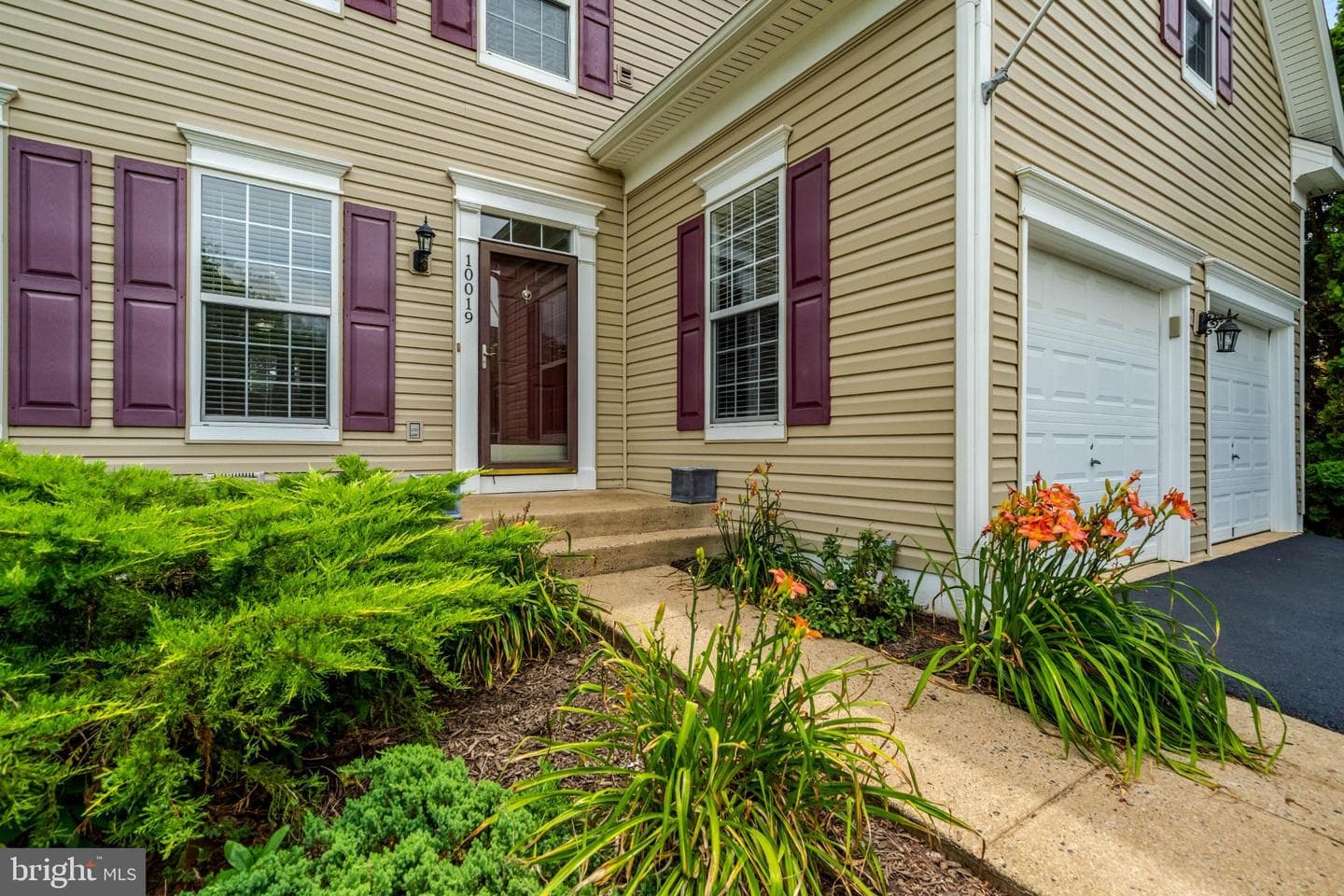 10019 Naughton Court photo 4