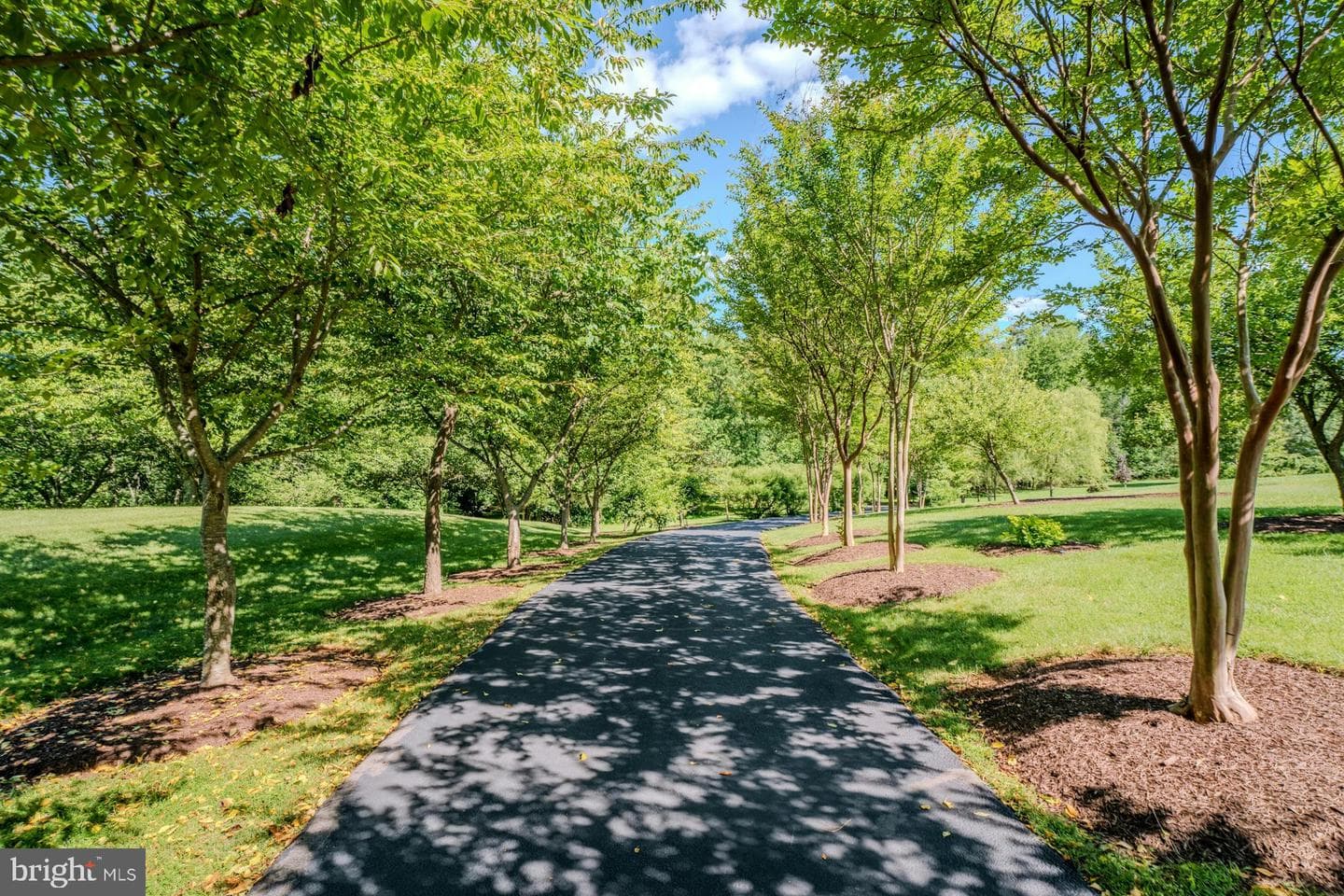 3509 Mill Creek Road photo 9
