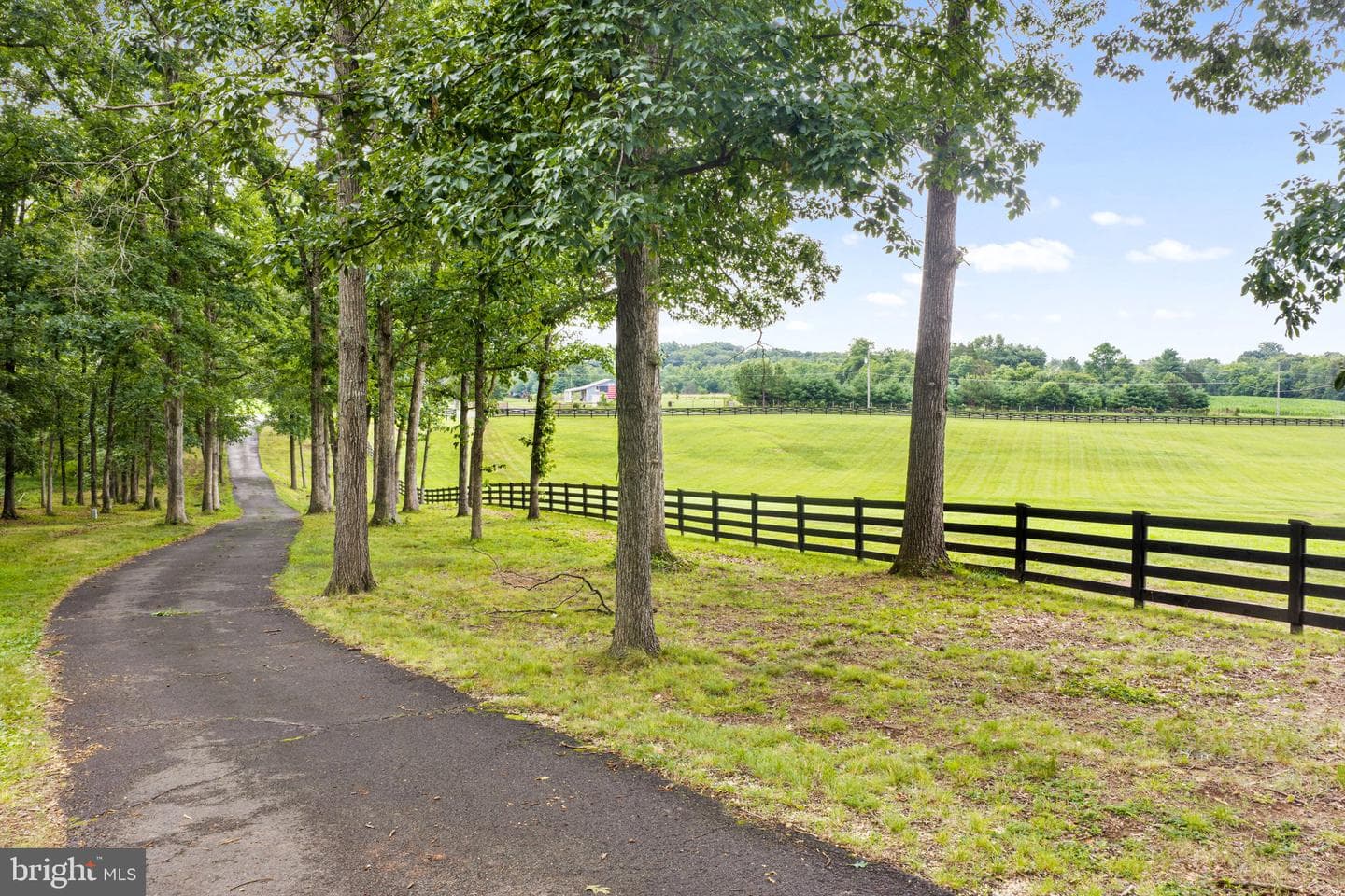 10904 Manley Road photo 5