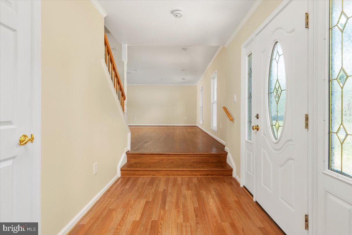 10008 Sudley Manor Drive photo 7