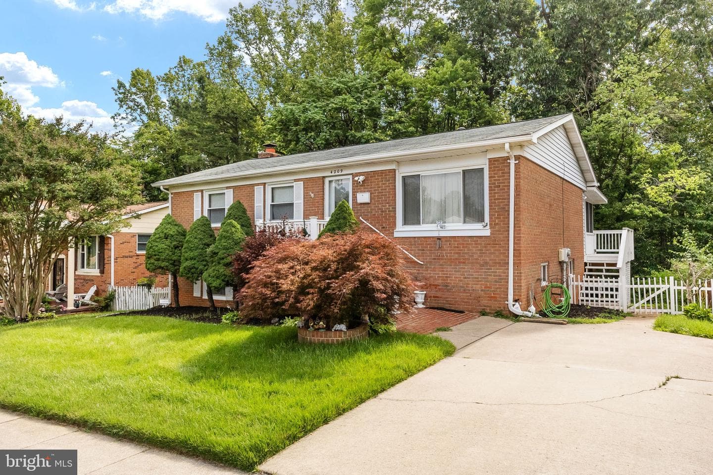 4209 Evergreen Drive photo 3