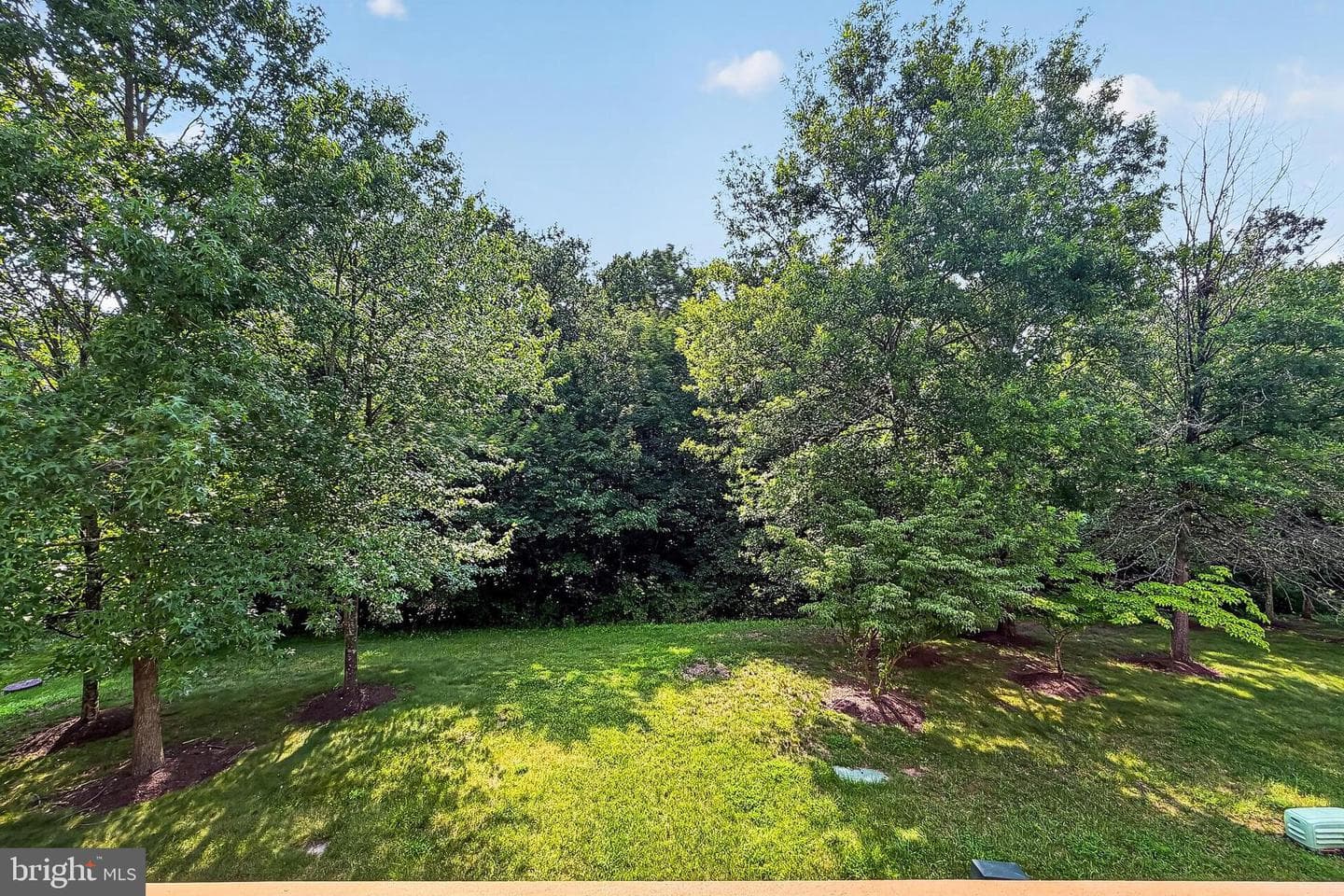 12460 Hadrians Court photo 46