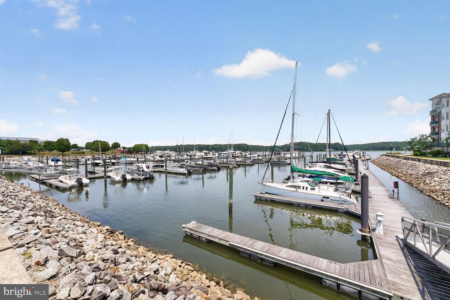 810 Belmont Bay Drive #204 photo 20
