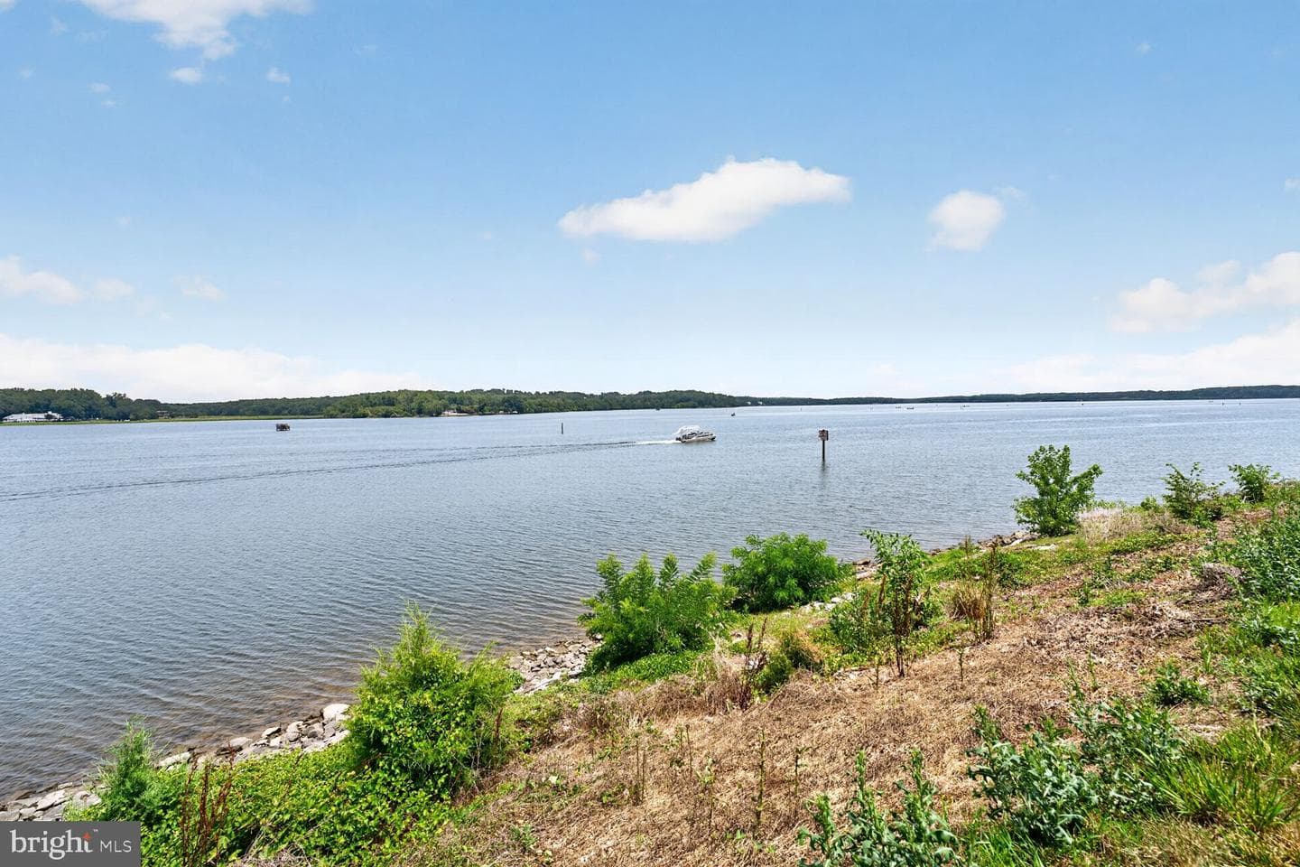 810 Belmont Bay Drive #204 photo 24