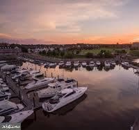 810 Belmont Bay Drive #204 photo 29