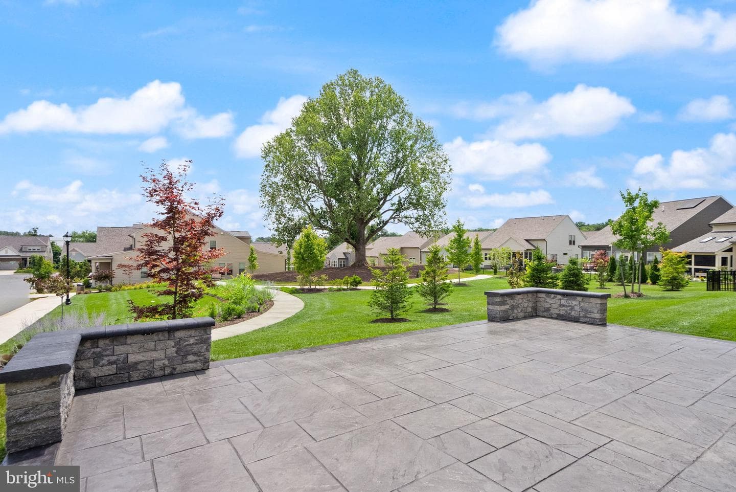 6765 Azalea Garden Lane photo 24