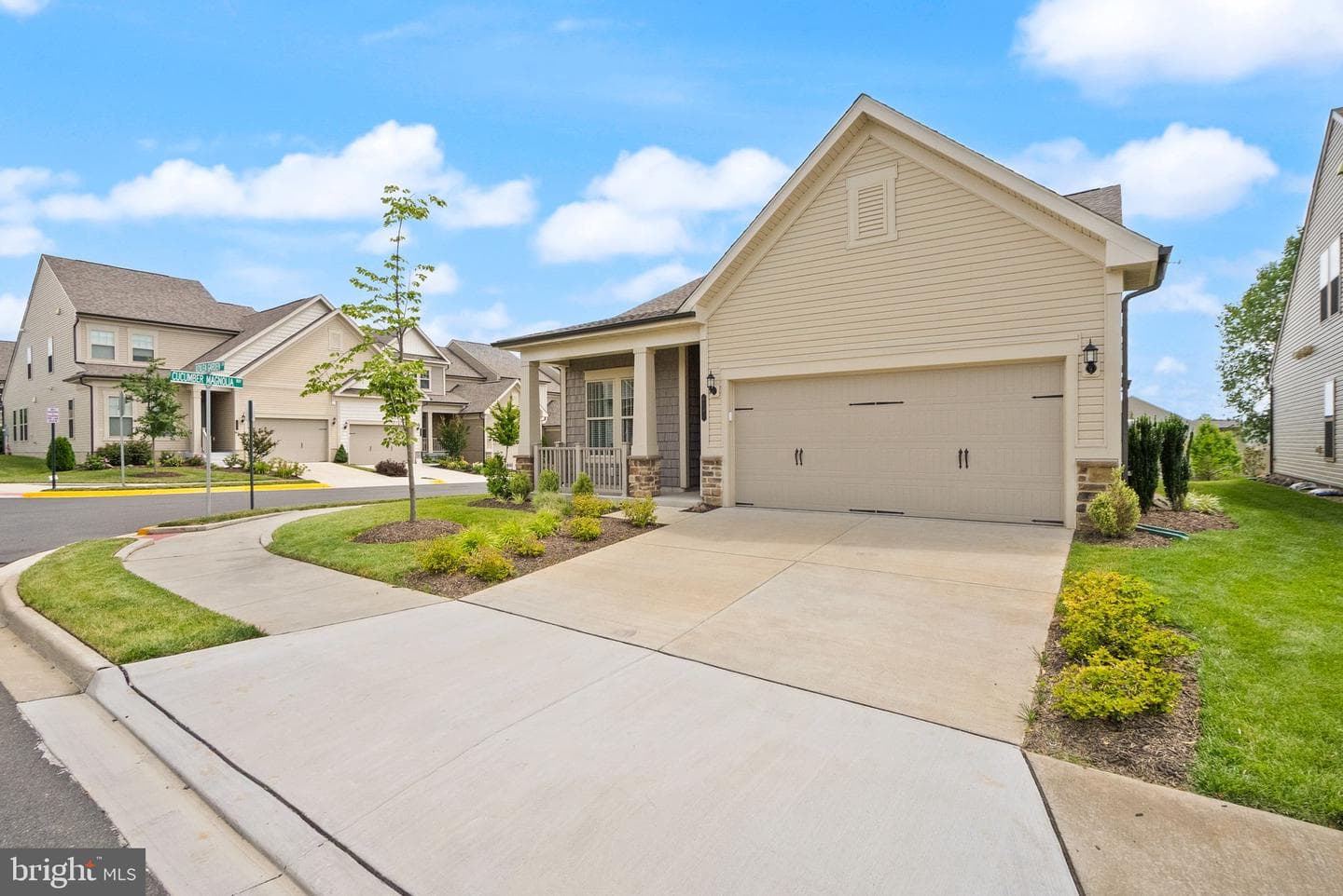 6765 Azalea Garden Lane photo 3