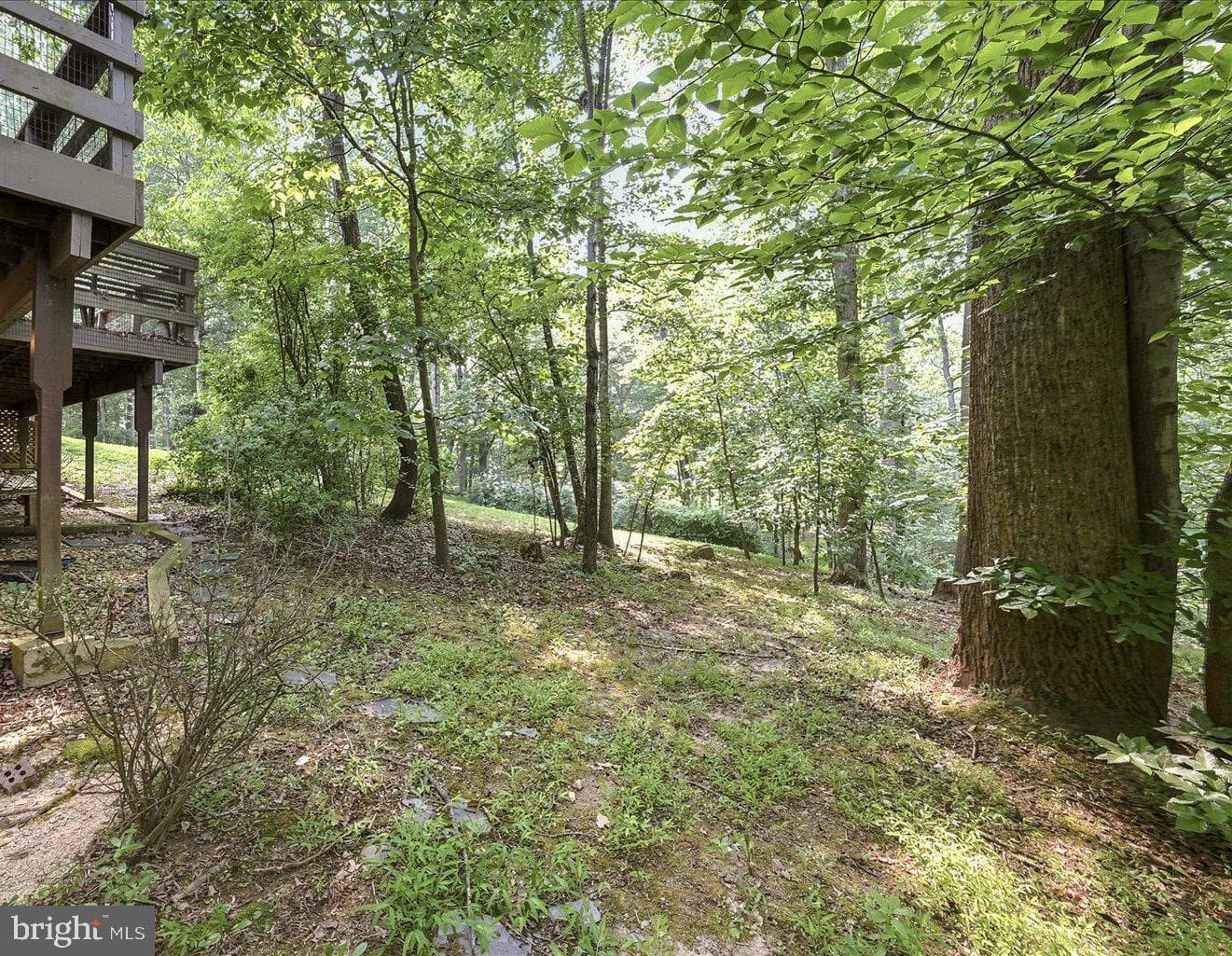 12304 Persimmon Place photo 19
