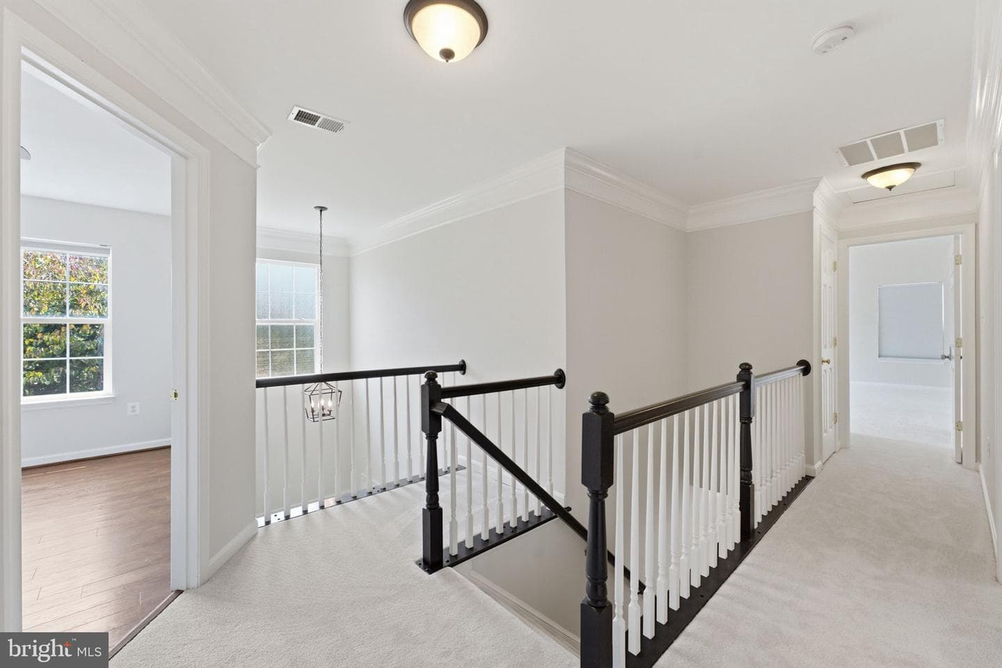12016 Paper Birch Lane photo 42