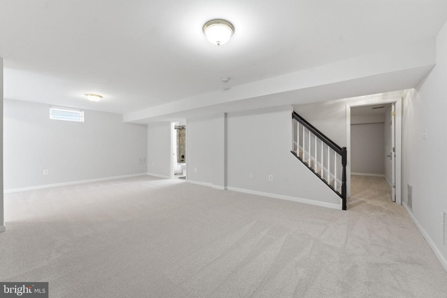 12016 Paper Birch Lane photo 71