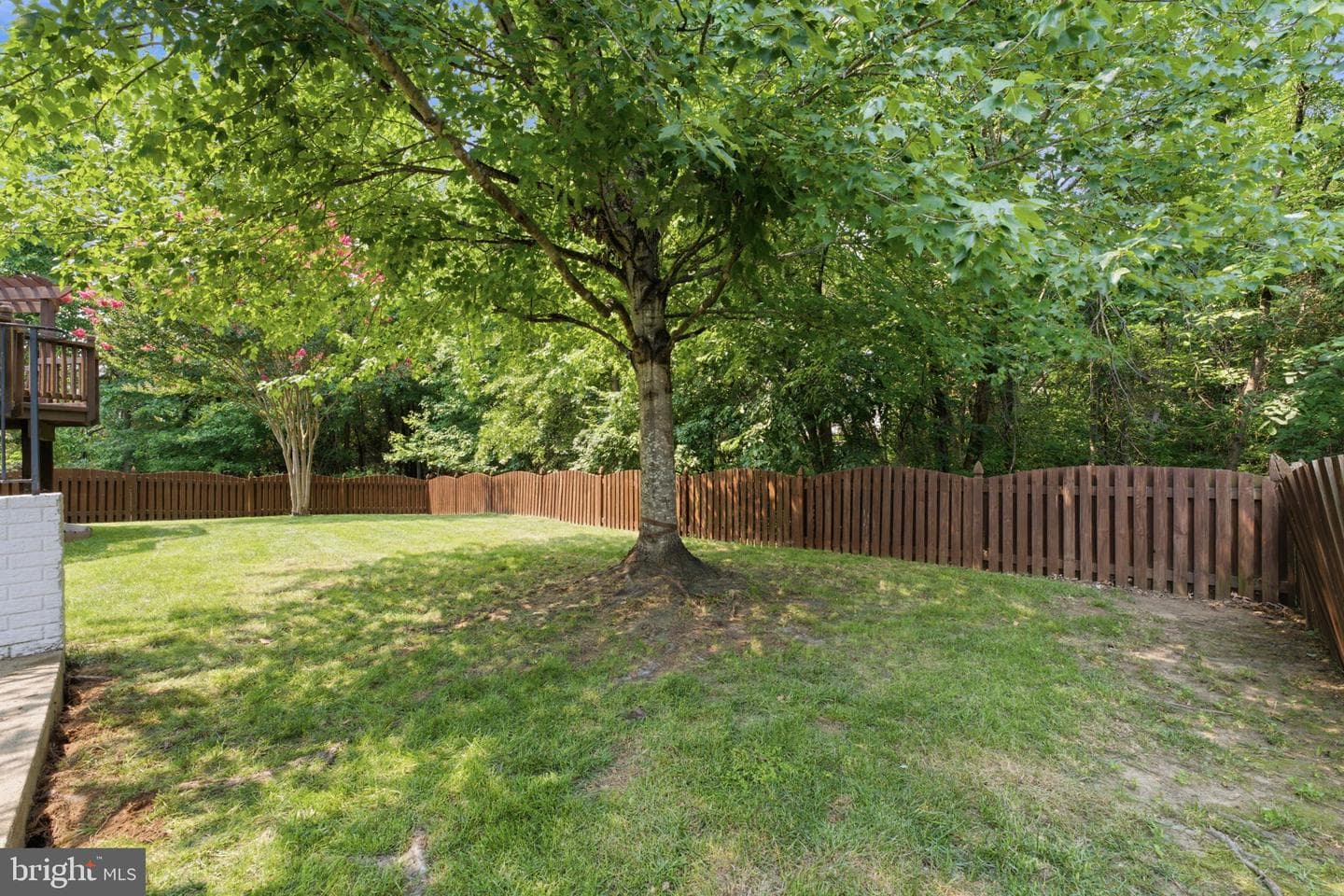 12016 Paper Birch Lane photo 83